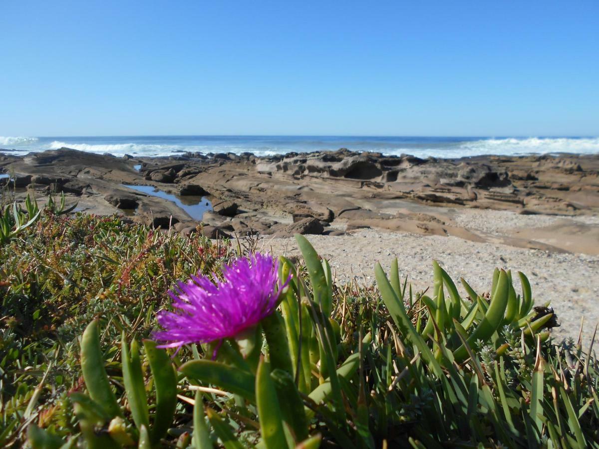 The Coelacanth Guest House And Beach Thyme Self Catering Kidd's Beach Exterior photo